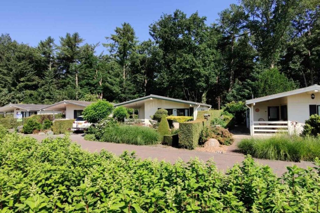 Comfortabel 4 persoons chalet omgeven door groen in Doldersum nabij het Drents-Friese Wold