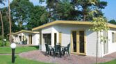 Luxe 6 persoons chalet nabij Voorthuizen op de Veluwe